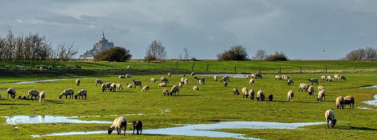 Gite Mont Saint Michel "Aucoeurdelabaie" Sains المظهر الخارجي الصورة