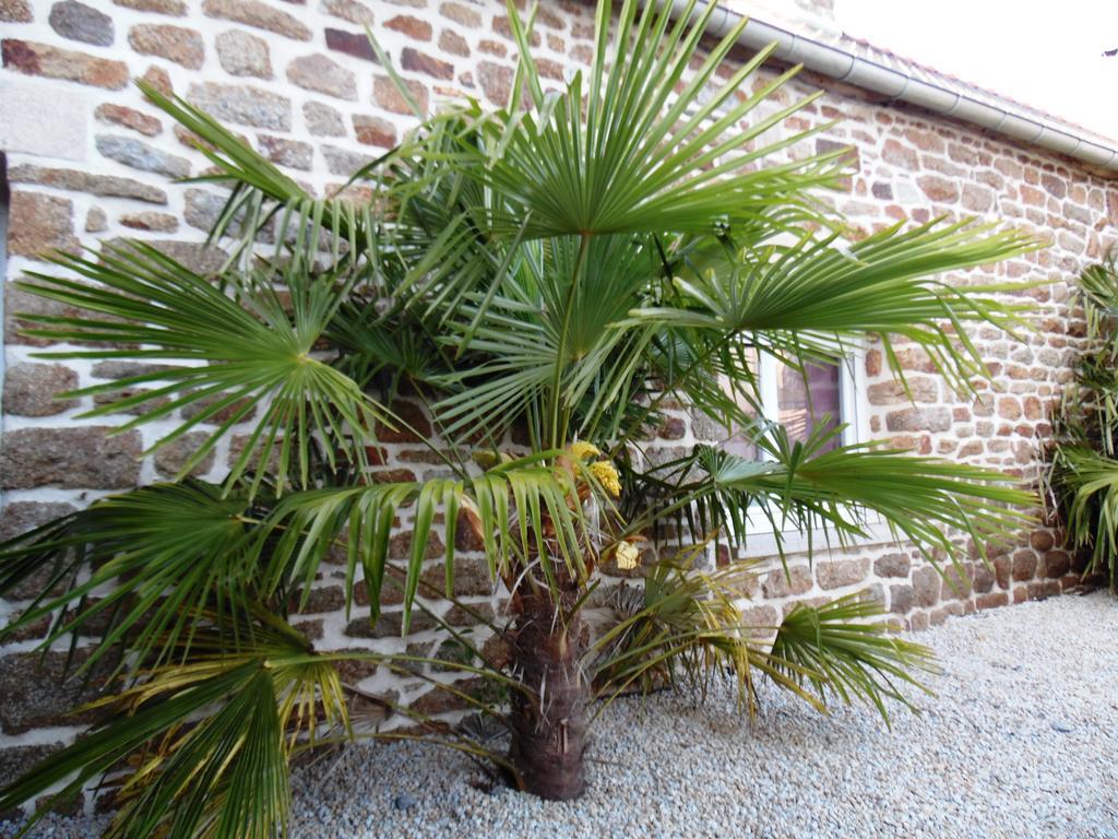Gite Mont Saint Michel "Aucoeurdelabaie" Sains المظهر الخارجي الصورة